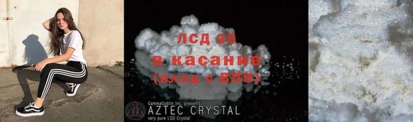 молекула духа Алзамай