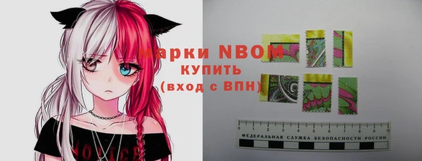 дмт Абаза