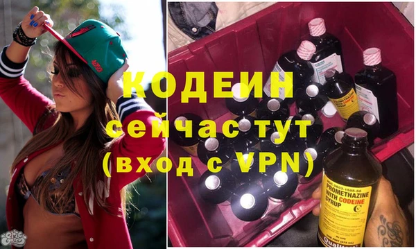 дмт Абаза