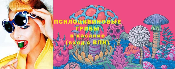 дмт Абаза