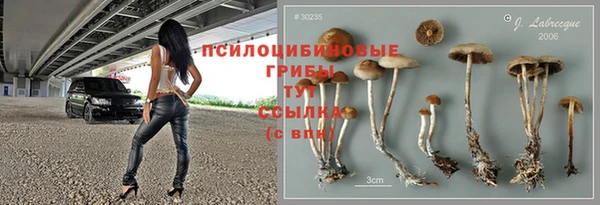 молекула духа Алзамай
