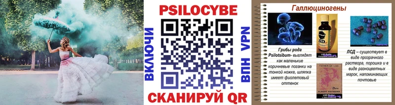 Галлюциногенные грибы мухоморы  купить наркоту  Сусуман 